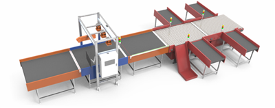 Dynamic DWS Weighing and Reading System